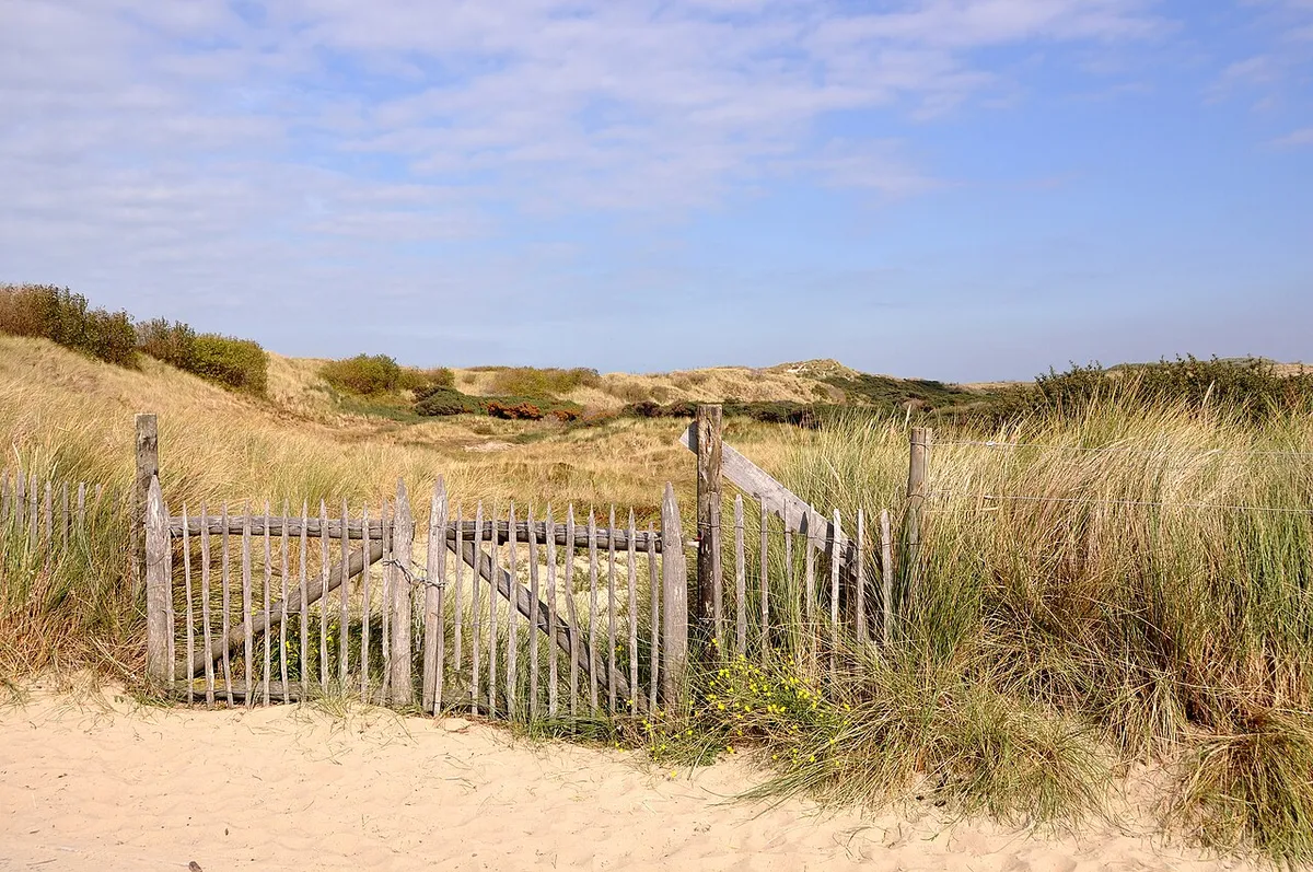 Paelsteenpanne nature area near Bredene Duinpan dog beach