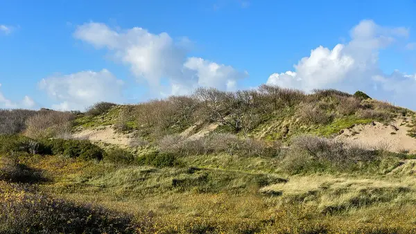 Dune path leading to Bredene dog beach, Belgian coast