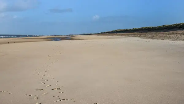 Bredene coastline looking towards the sea