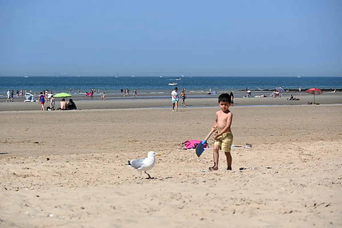 Sint-Idesbald beach at Koksijde, wide sandy Belgian coast