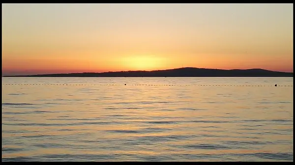 Shallow calm waters at Privlaka beach, ideal for dogs