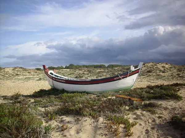 Lagoa de Albufeira lagoon and ocean beach in Sesimbra with calm waters ideal for dogs