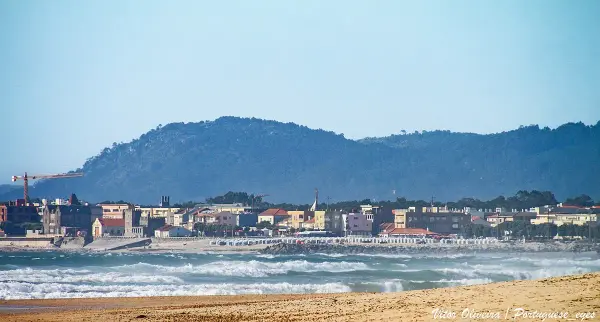 Praia da Ramalha Sul pet-friendly beach in Apulia, Esposende