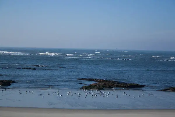 Praia de Afife beach in Viana do Castelo, Portugal