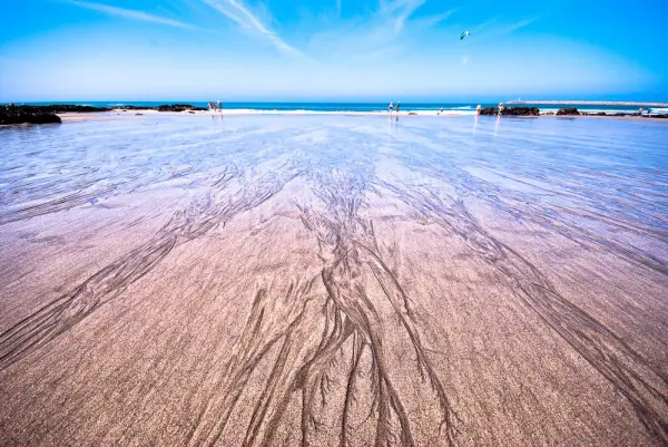 Dogs playing on the sheltered sands of Praia do Coral in Viana do Castelo, northern Portugal