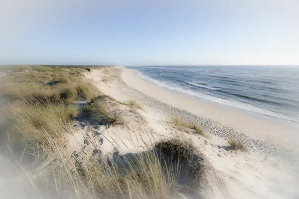 Dogs playing on the sheltered sands of Praia do Coral in Viana do Castelo, northern Portugal